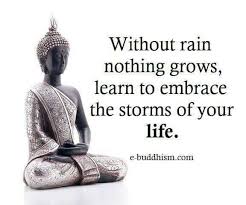Pinterest Poppy May Buddhism Quote Buddha Quote Buddhist Quotes
