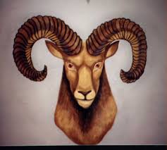 Image result for aries image