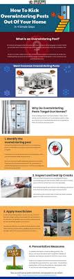 A wide variety of bug pest control options are available to you, such as specification, feature, and use. 15 Pest Control Ideas Pest Control Pests Infographic