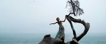 Check spelling or type a new query. Reflections On The Self