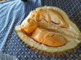 Durian hj nordin, beliau mengusahakan sendiri dusun durian tersebut. Durian Kahwin Ataupun Durian Kampung Blog Luthfi Sekadar Nukilan