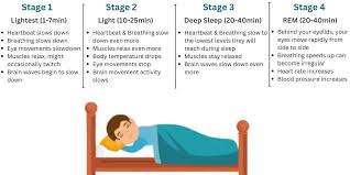 Image result for REM Sleep Behavior Disorder