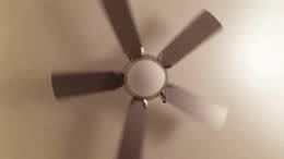 #ceiling fan #twist ending #cat #fan #mash up #surprise #falling #actions. Fan Gif Find On Gifer