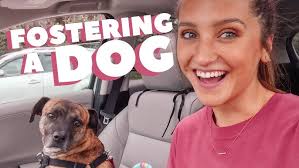 PREPARING FOR CORONAVIRUS