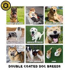 Double Coated Dogs Barks And Recreation