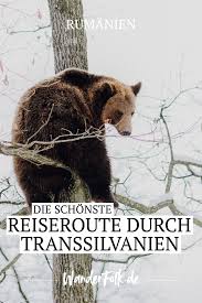 Rumanien Off Season Die Schonste Reiseroute Durch Transsilvanien Rumanien Reisen Rumanien Transsilvanien
