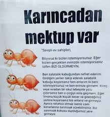 Biberiye Hafiza Saglik Evde Hazirlabilen Ilaclar Ipuclari