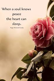 The following chinese symbols are used to represent love in feng shui and should always be some flowers are very powerful symbols of love and peace. Quotes On Flowers Peace Love Quotes To Romance The Soul Mom Soul Soothers Dogtrainingobedienceschool Com