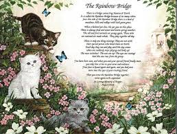 I created a free printable based on 'rainbow bridge' in loving memory of my daughter's (and our family's) cat, caressa, who died yesterday. Https Www Ebay Com Au Itm 282498261820