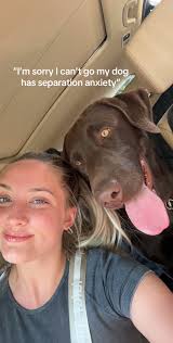 kayla lysan trent (@kaylalysantrent)