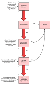 Acls algorithms 2020 medication listall software. Free 2021 Acls Study Guide Acls Made Easy
