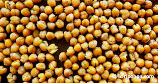 Sehingga anda bisa membuat banyak variasi dalam menu makanan. Begini Cara Terbaik Mengolah Kacang Arab Kering Ciriciripohon Com