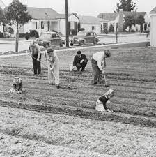 You know what you want: Food Supply Anxiety Brings Back Victory Gardens The New York Times