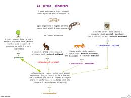 Le storie raccontate ai bambini e alle bambine. Lessons Blendspace