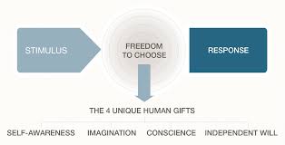 The 7 Habits Habit 1 Be Proactive Habit 1 Inspirational Message Habits