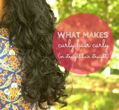 What Makes Curly Hair Curly Or Straight Hair Straight Curlsandbeautydiary Straight Hairstyles Curly Hair Styles Pin Straight Hair
