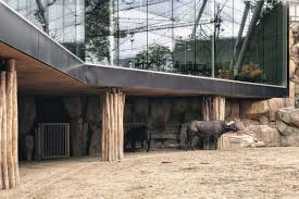 gallery of restaurant and aviary at the antwerp zoo studio farris architects 27 zoo architecture zoo architecture