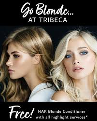 Tribeca Hair & Beauty