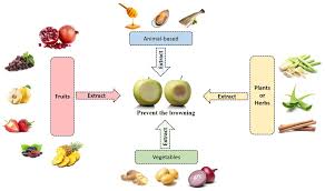 Molecules Free Full Text Prevention Of Enzymatic Browning By Natural Extracts And Genome Editing A Review On Recent Progress Html