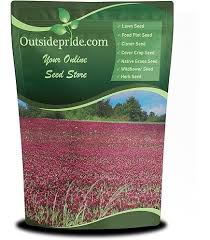 Image result for Aeschynomene bullockii