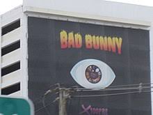 Bunny as a girls' name is of english origin. X 100pre Wikipedia