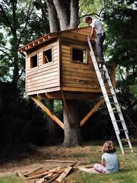 Cabanes Dans Les Arbres Decoration Bois Maison Tree House Diy Tree House Tree House Kids