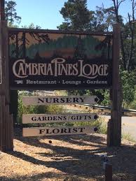 Pier lodge day nursery, thames road, grays, essex, england, rm17 6jp. San Francisco Mit Kindern Mit Kinderaugen