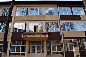 Materiale pentru limba şi literatura română: Scoala GimnazialÄƒ Mihai Eminescu Roman Municipiul Roman