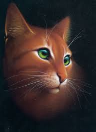 Fallendes Blatt Warrior Cat Schonen Katzen Warrior Cats