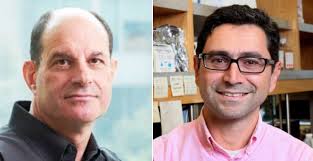 Forskarna David Julius och Ardem Patapoutian tilldelas årets Nobelpris i  fysiologi