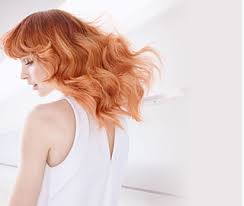 Color Touch Relights Wella Professionals