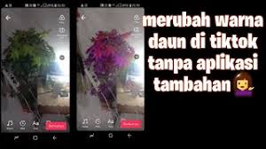 Filter ig terbaru buka baju tiktok : Tutorial Tiktok Efek Instagram Youtube