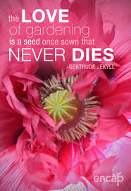 Even helen keller, who was born blind and deaf, could see god. The Love Of Gardening Is A Seed Once Sown That Never Dies Gertrude Jekyll Garden Quotes Flower Garden Landscaping Tips