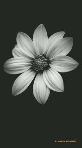 Background Black And White Dream Catcher Wallpaper Beaded Wind Chimes Dark Wallpaper Iphone Dark Wallpaper Black Wallpaper Iphone