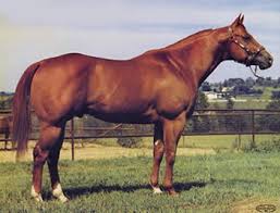 What's the difference between a free horse, a $500 horse, a $5,000 horse and the side effect of the banning of horses for meat slaughter is a lower price for some types of horses. The Bad And The Ugly Halter Horses Hooves