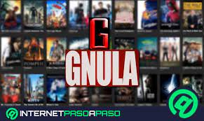 Alternativas A Gnula La Mejor Guia De Este Ano 2021 Consejociudadano C