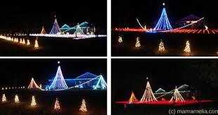 Pin On Jacksonville Florida Adventures