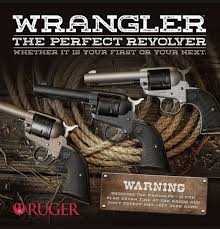 Online retailer of firearms, ammunition and shooting accessories along with law enforcement equipment, police. Pin On Survival