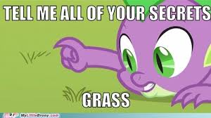 Tell Me My Little Brony My Little Pony Friendship Is Magic Brony Pokemon Go