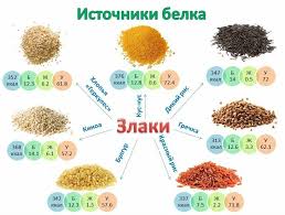 4 группы крови 4 пути к здоровью читать онлайн Belkovye Blyuda Recepty Sportwiki Enciklopediya Belkovye Produkty Korm Dlya Sobak Zdorovoe Pitanie