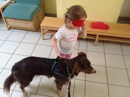 Freunde und helfer auf vier pfoten. Der Blindenhund Taps Kindersport
