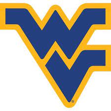 Michigan Wolverines Sign 10in West Virginia University West Virginia West Virginia Mountaineer