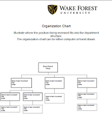 41 free organization chart templates in word excel pdf