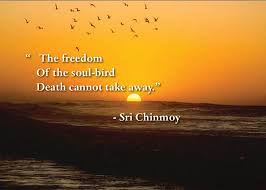 King in that very special way these last few years. Quotes On Death Sri Chinmoy Quotes