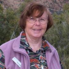 Staff writers, Author at The Catholic Leader