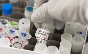 Vacunados del coronavirus en españa. Que Vacunas Tendremos Disponibles En Espana El Comercio