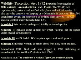 Wildlife was transferred from state list to concurrent list in 1976, thus giving power to the central govt. Zoological Survey Of India Ppt Download