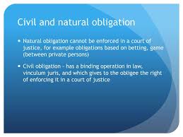 Law of obligations of afghanistan. International Civil Litigation Procedure Ppt Download
