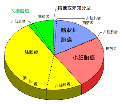 File Pie Chart Of Lung Cancers Zh Png Wikimedia Commons