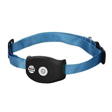 Katzenzubehör & katzenbedarf in topqualität große auswahl portofrei ab 29€ jetzt kaufen! Mini Micro Gps Tracker Tragbare Echtzeit Kaufland De